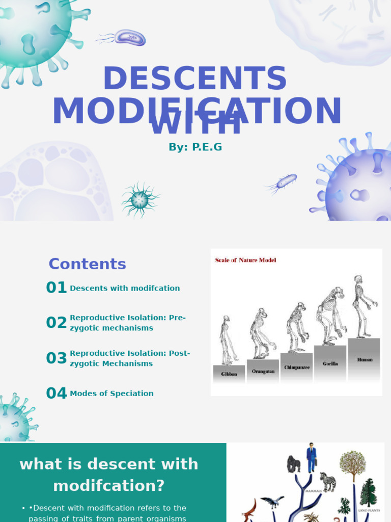 Evolutionary Mechanisms and Speciation | PDF | Evolution | Hybrid (Biology)