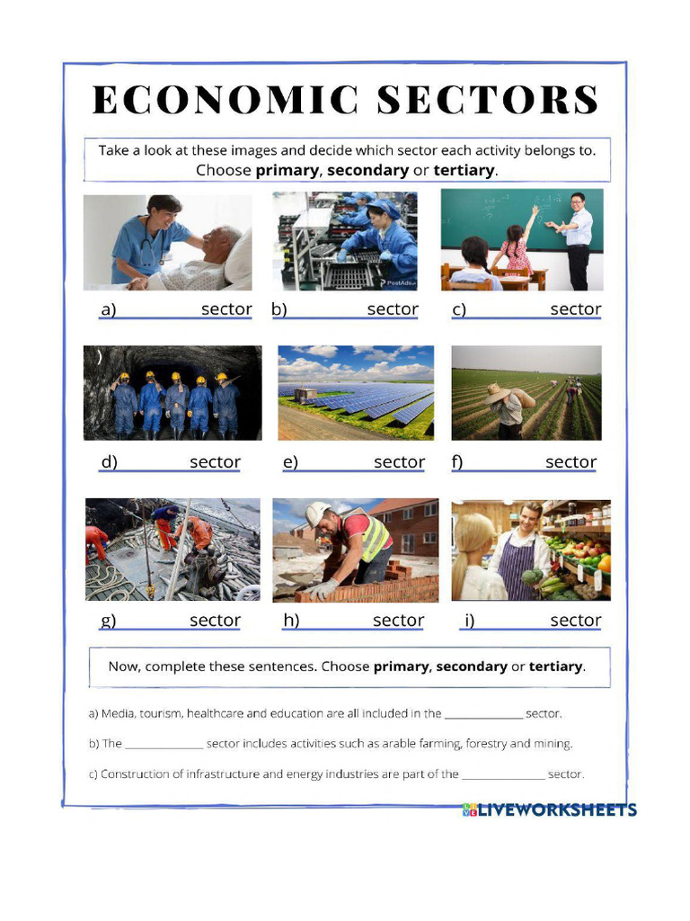 69883 1743409064 Worksheet 62101 Pdf