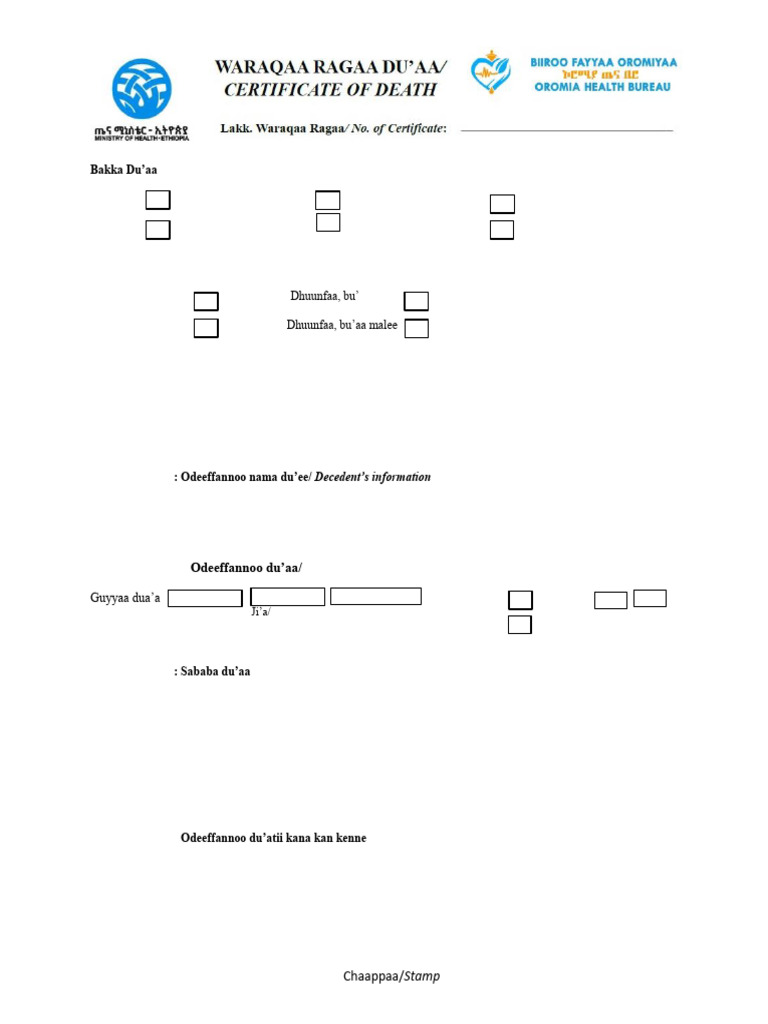 Death Certificate Information Form | PDF
