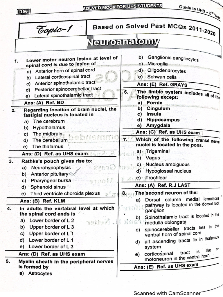 Neuro Anatomy BCQ | PDF
