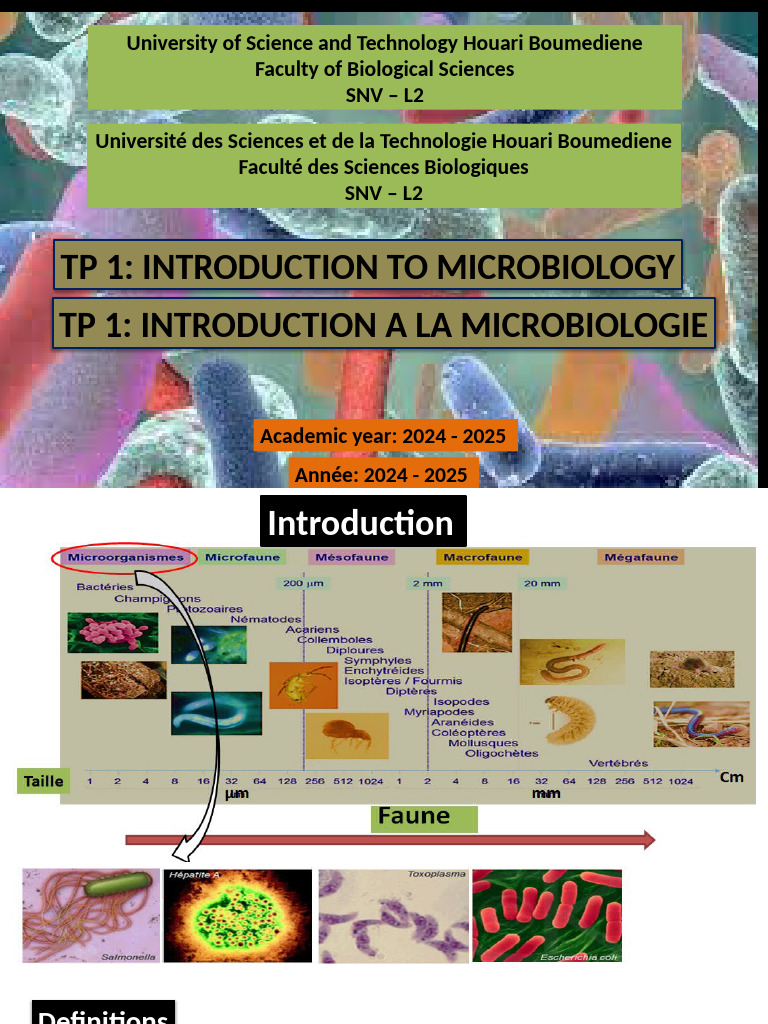 TP1 Intro Microbio English Version | PDF | Bactérie | Filtration