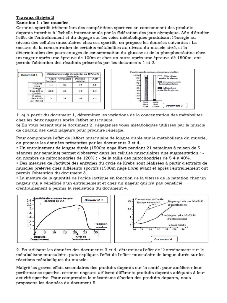 Effets du dopage et entraînement sur les muscles | PDF | Système ...