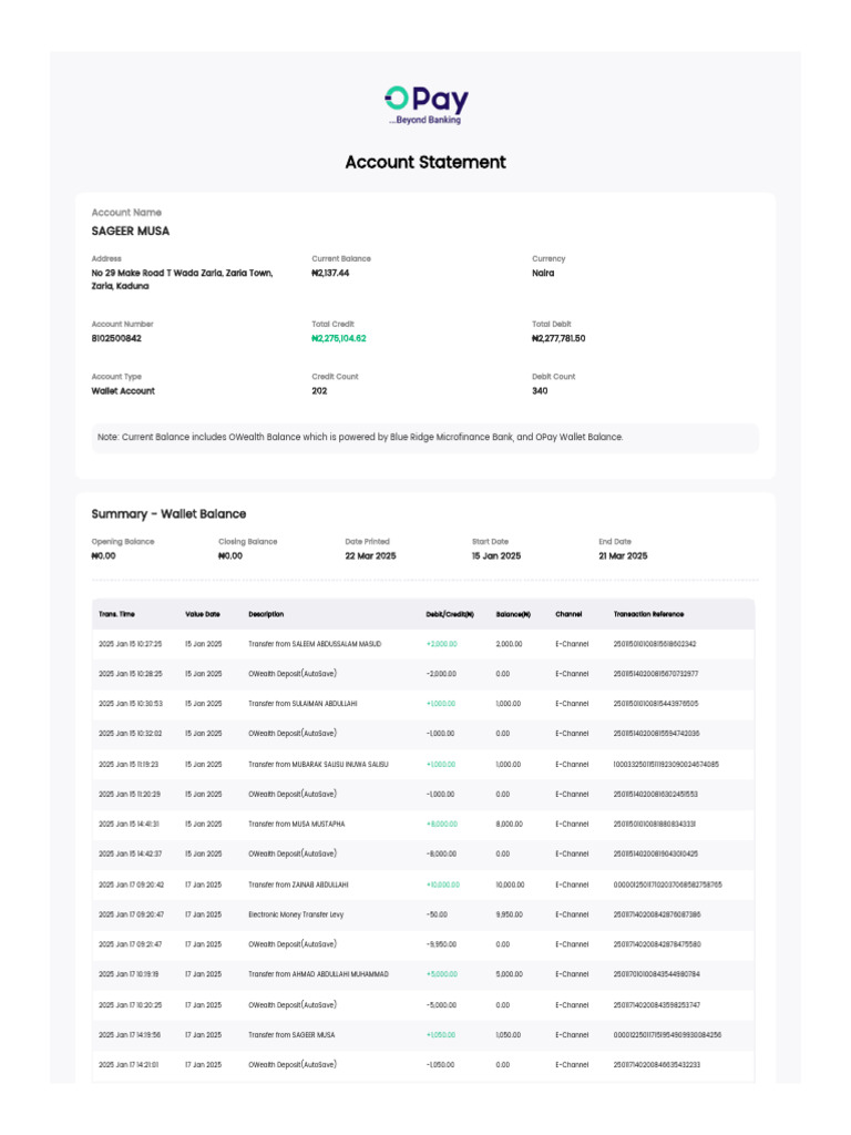 Wallet Account Statement Summary | PDF | Financial Technology | Finance ...