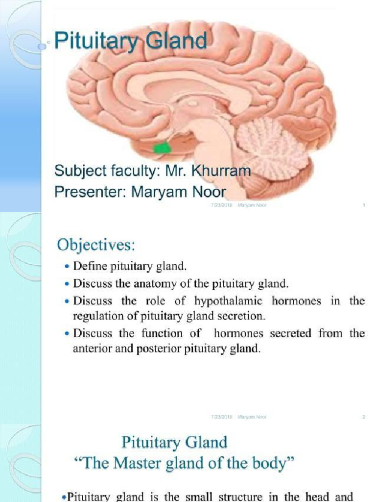 Shivu DR | PDF