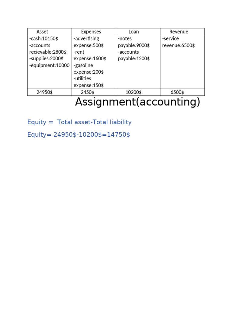 Accounting Assignment: Asset and Equity Analysis | PDF