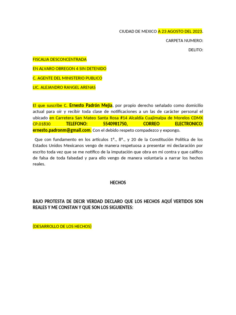 Declaracion Machote | PDF