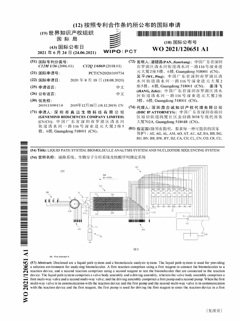 WO2021120651A1 - Liquid Path System, Biomolecule Analysis System and ...