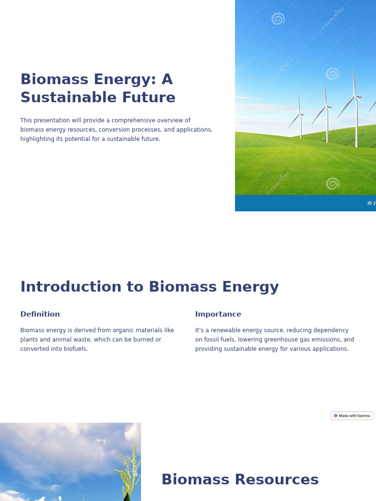 Biomass Energy: Sustainable Solutions | PDF | Biofuel | Energy And The ...