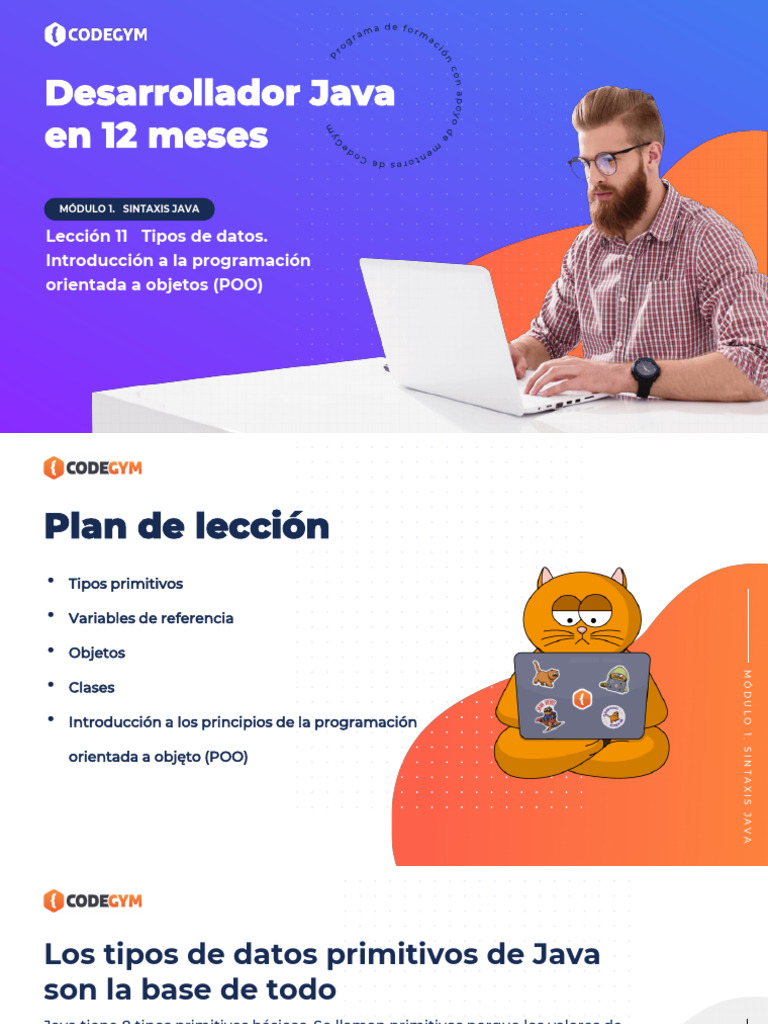 Tipos de Datos en Java: POO y Sintaxis | PDF | Objeto (informática ...