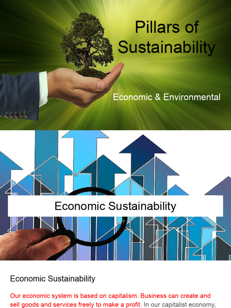 2 - 3 Pillars of Sustainability | PDF | Sustainability | Recycling