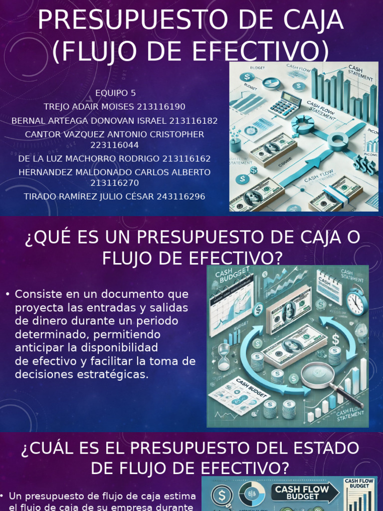Guía Completa del Presupuesto de Caja | PDF | Presupuesto | Flujo de ...