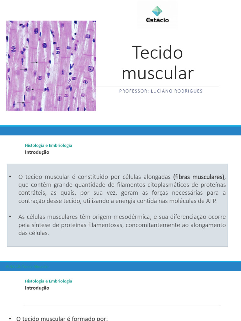 Tipos e Estruturas do Tecido Muscular | PDF | Músculo | Anatomia