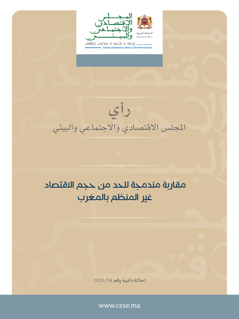 الاقتصاد غير المنظم | PDF