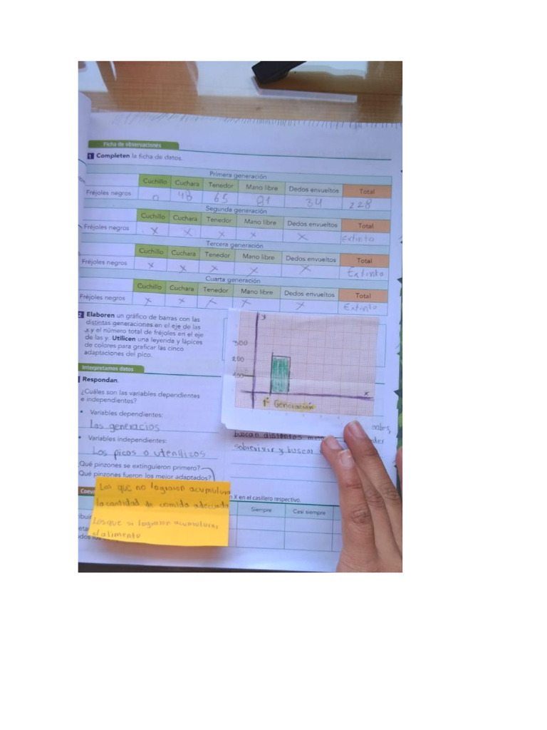 Debr Ciencias | PDF