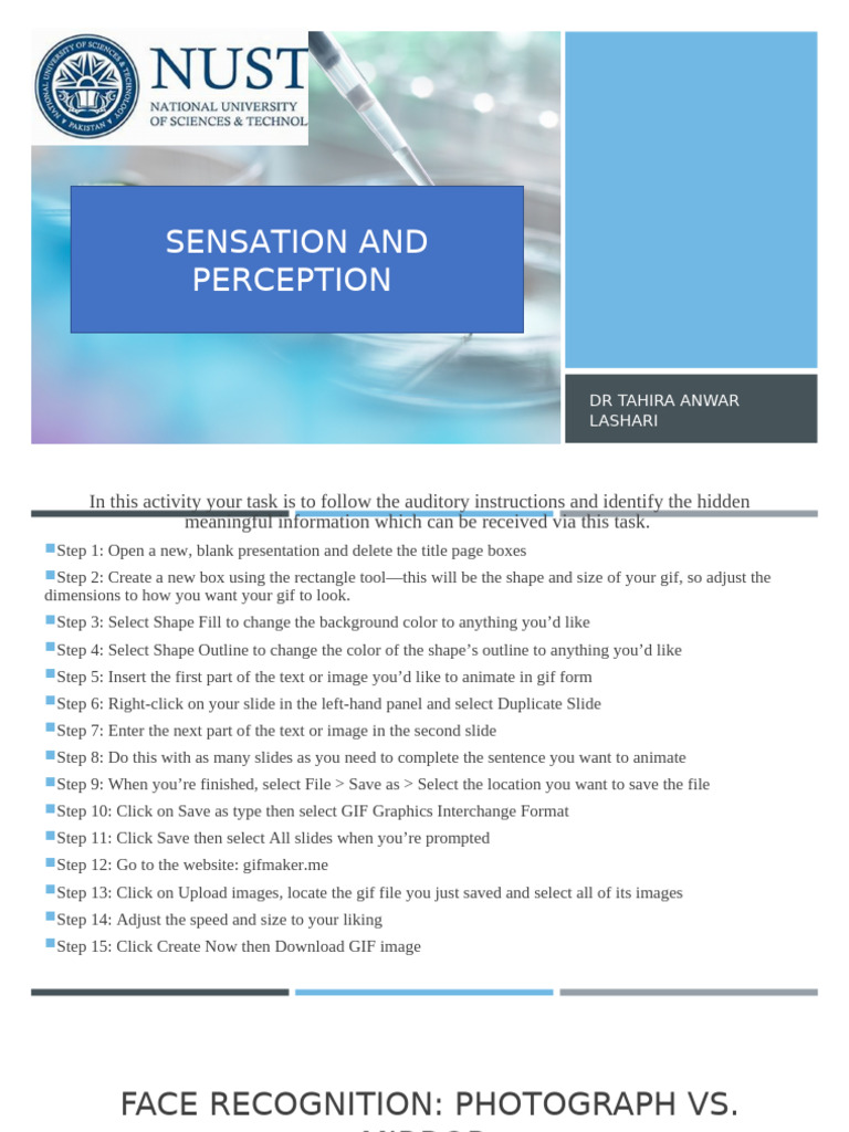Sensation and Perception | PDF | Cognitive Science | Cognition