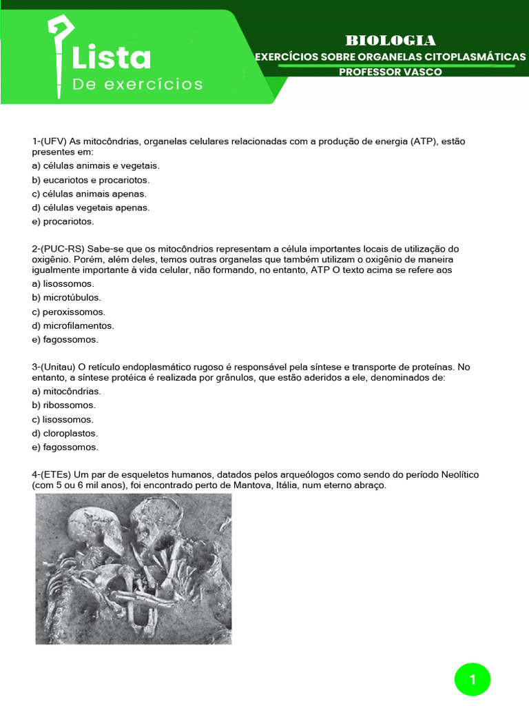 Exercícios sobre Organelas Citoplasmáticas | PDF | Mitocôndria | Célula ...