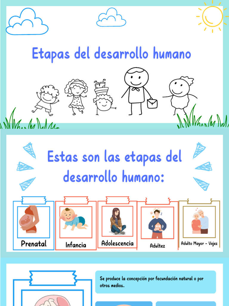 Etapas del Desarrollo Humano | PDF | Adultos | Vejez