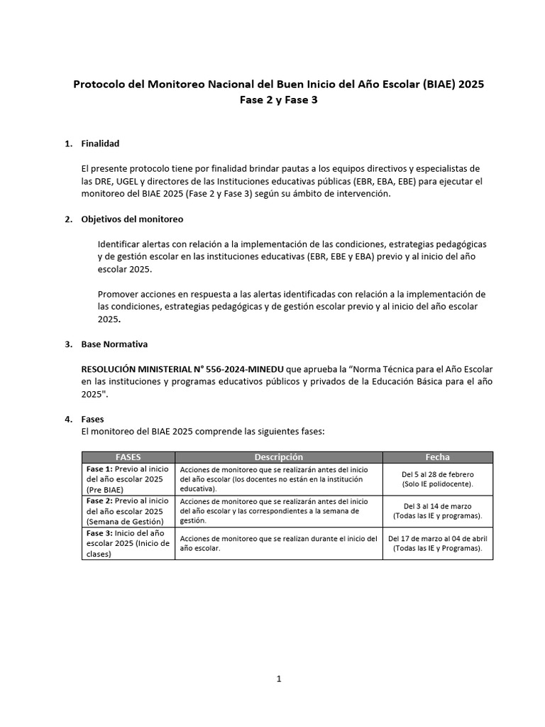 Protocolo Monitoreo BIAE 2025 | PDF | Evaluación | Enseñando