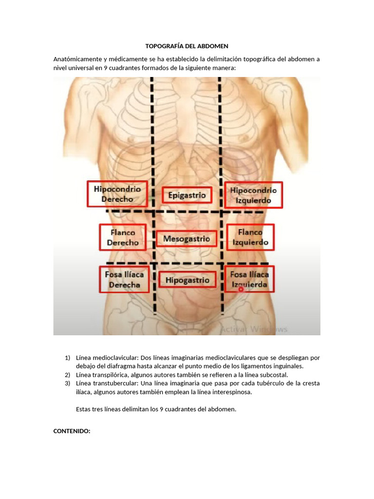 topograf-a-abdominal-en-9-cuadrantes-pdf-abdomen-peritoneo