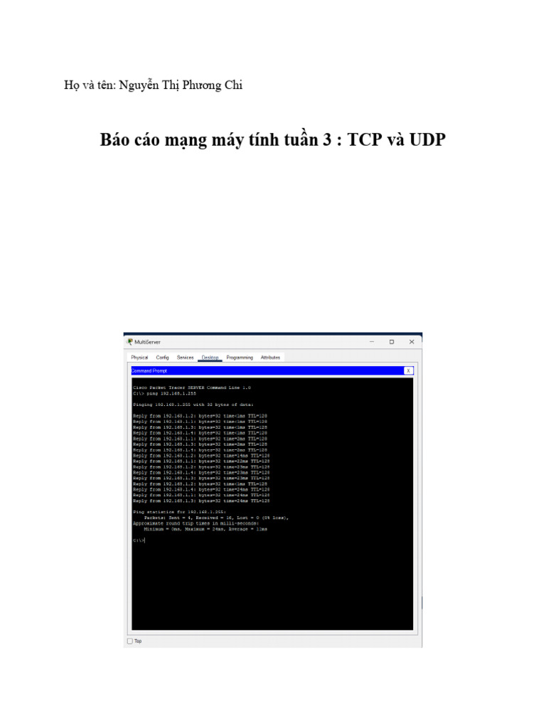 TCP and UDP Protocols Report | PDF | Transmission Control Protocol ...