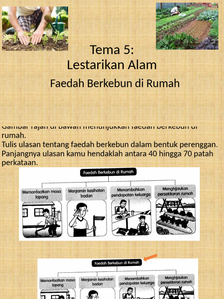 Faedah Berkebun di Rumah | PDF