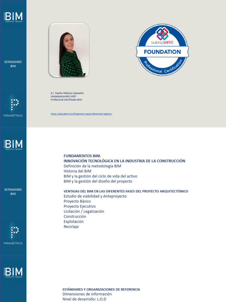 Ventajas y Estándares de BIM en Construcción | PDF | Modelado de ...