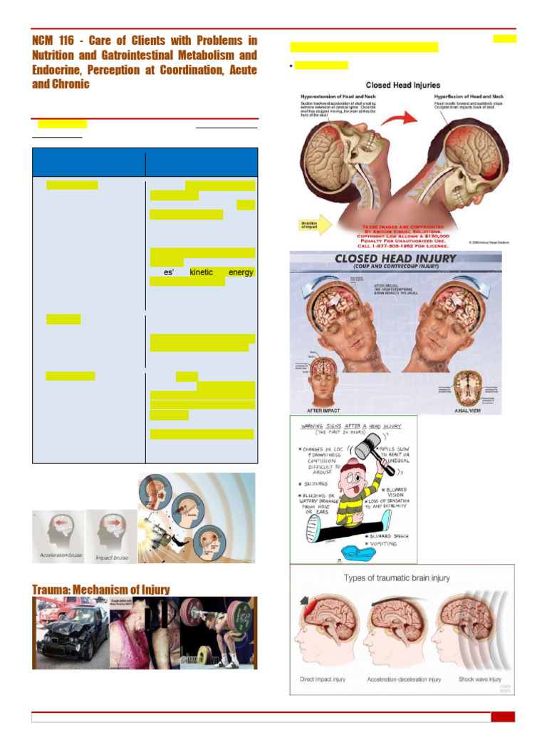 Understanding Invisible Wounds: Head Injury | PDF | Meningitis ...