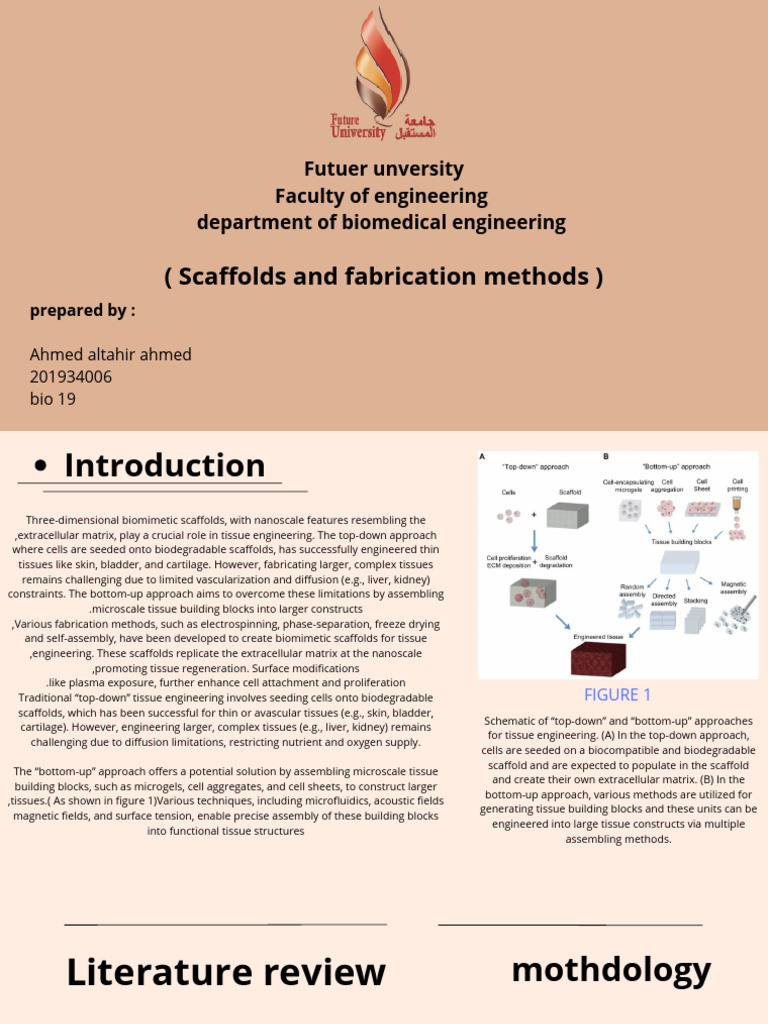 Biomimetic Scaffolds in Tissue Engineering | PDF | Tissue Engineering ...