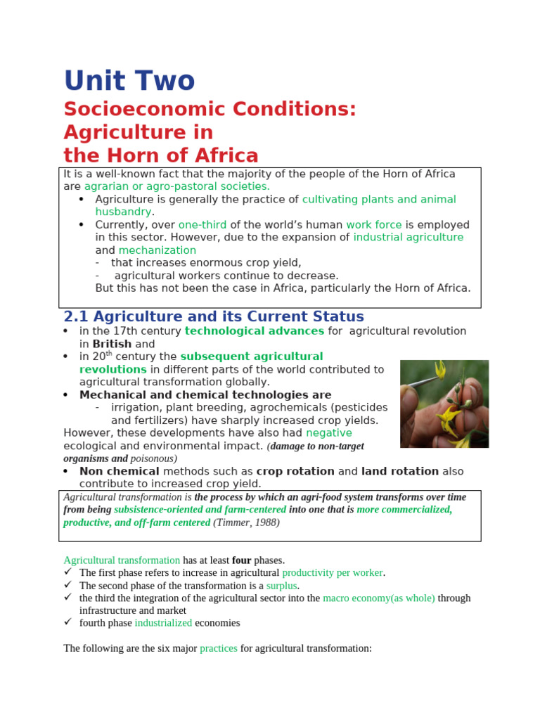 Area Studies Unit Two Note | PDF | Agriculture | Food Industry