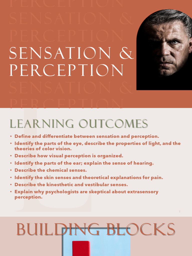 Understanding Sensation and Perception | PDF