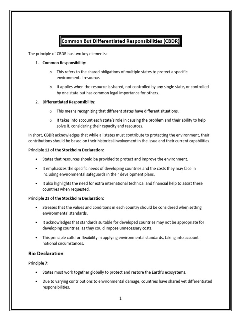 Understanding Common But Differentiated Responsibilities | PDF | United ...
