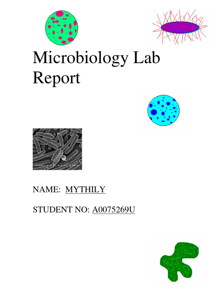 Microsoft Word Microbiology Lab Report Colony Forming Unit Gram