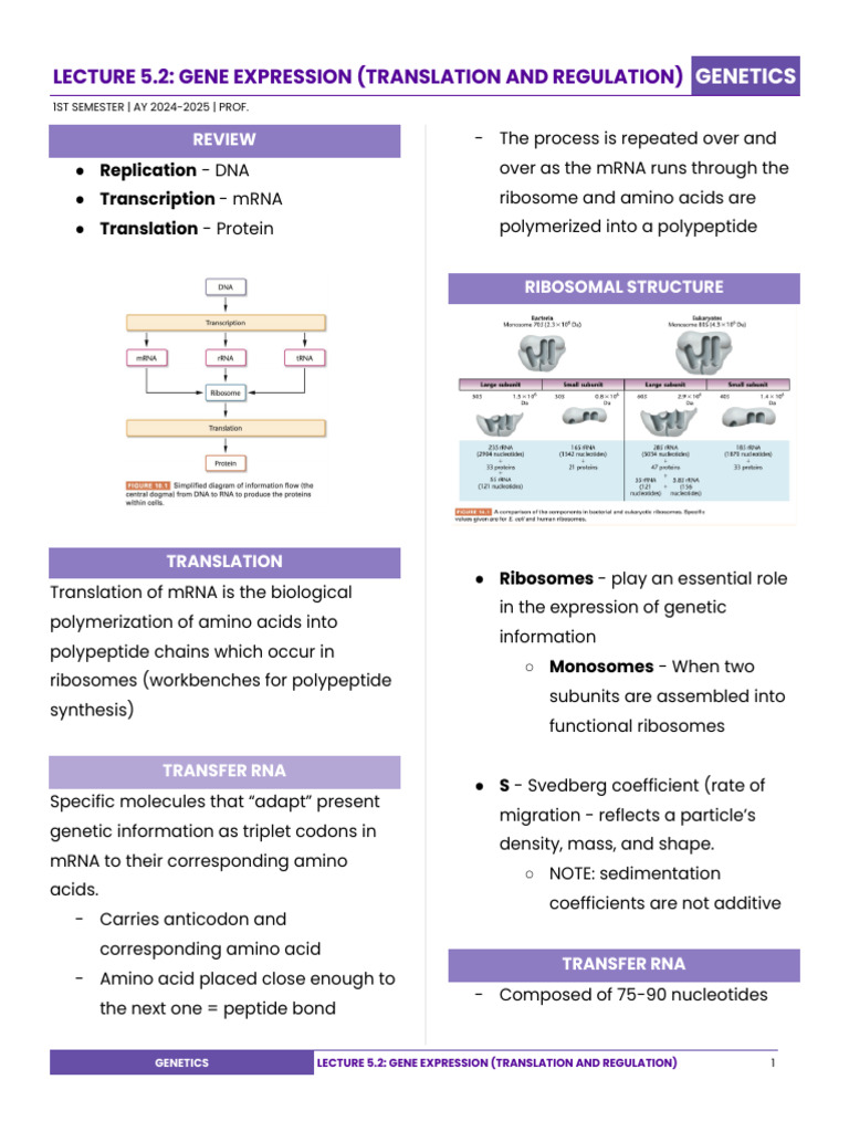 gene-expression-translation-overview-pdf-translation-biology