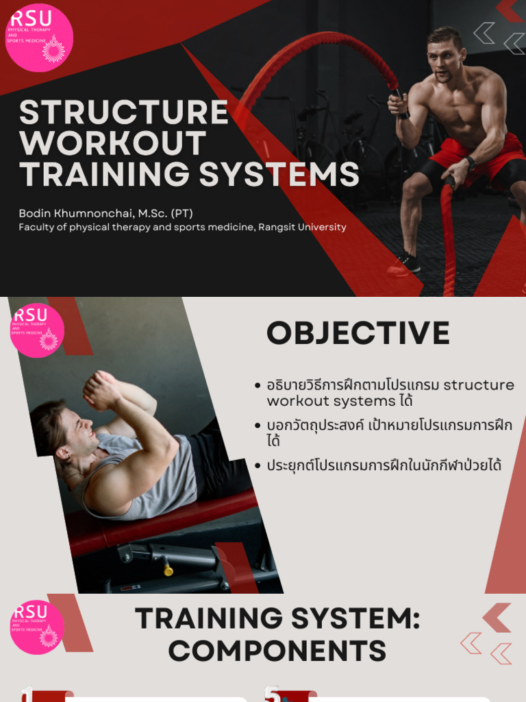 484 - Structure Workout Training Systems | PDF | Muscle Hypertrophy ...