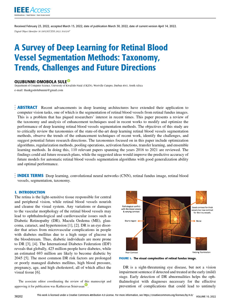 A Survey of Deep Learning For Retinal Blood Vessel Segmentation Methods ...