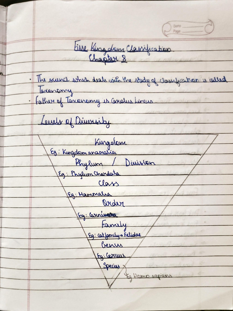 Five Kindom Classification Notes | PDF
