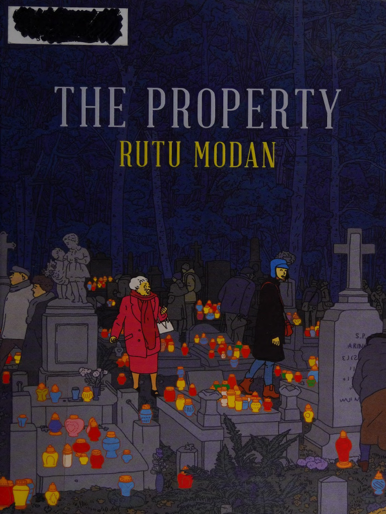 The Property - Rutu Modan - Lightning Source Inc - (Tier 1), La Vergne ...