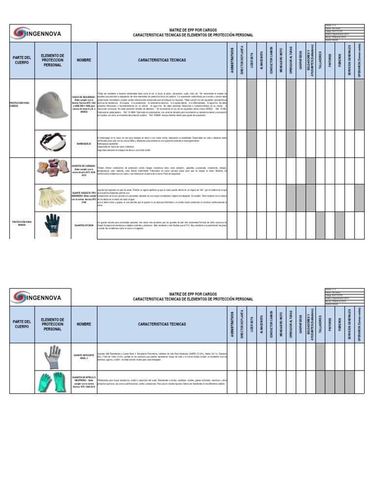 Matriz de EPP por Cargos y Normas | PDF | Guante | Lentes