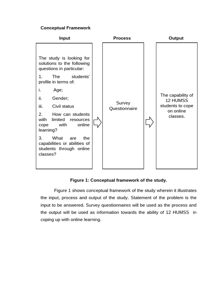 Conceptual Framework Sample | PDF