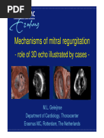 Carpentier Mitral Valve Classification | PDF | Heart Valve | Thorax ...