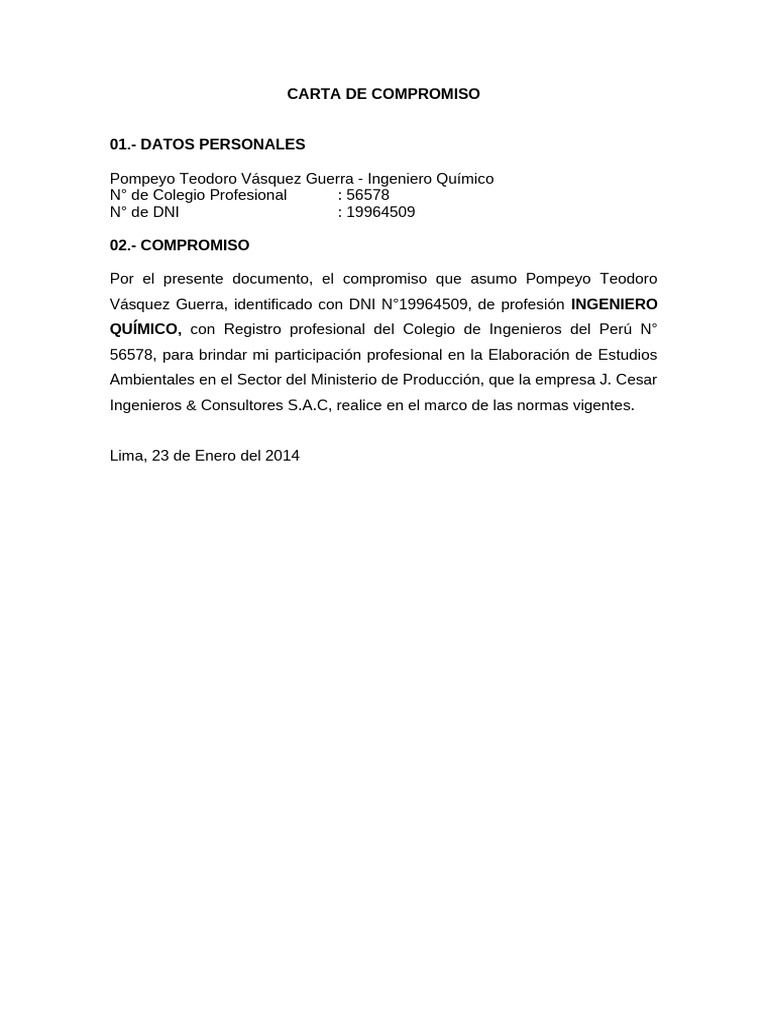 Compromiso Profesional de Ingeniero Químico | PDF