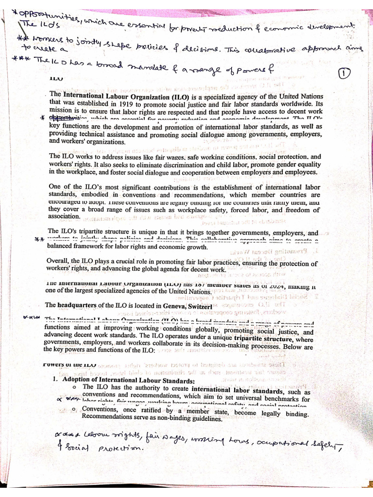 Human Rights | PDF