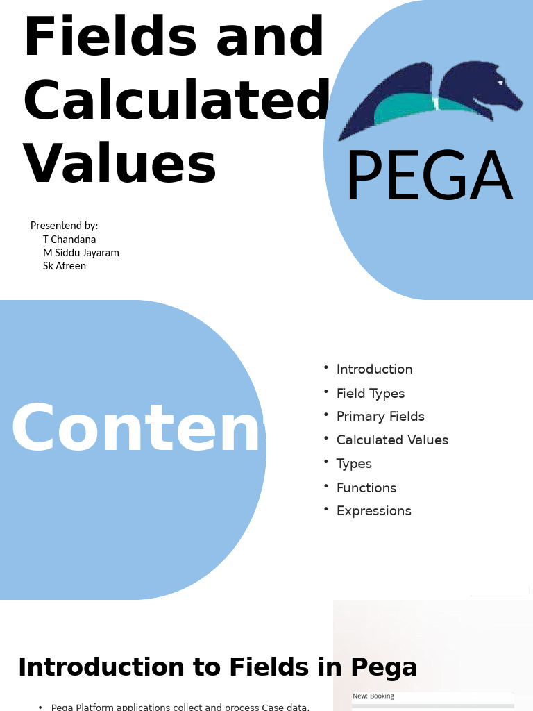 Pega Fields and Calculated Values Guide | PDF | Multiplication | Payroll