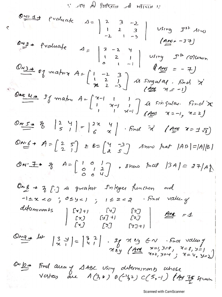 Determinants Worksheet 1 2025 Pdf