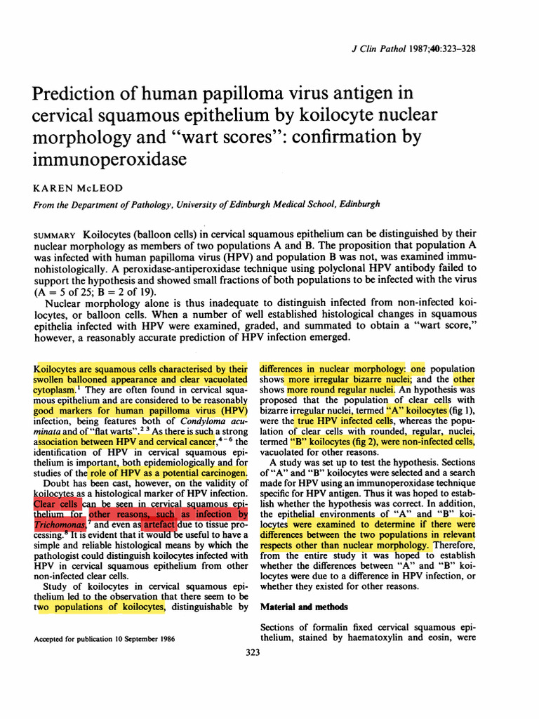 HPV Detection in Cervical Koilocytes | PDF | Cervical Cancer | Epithelium