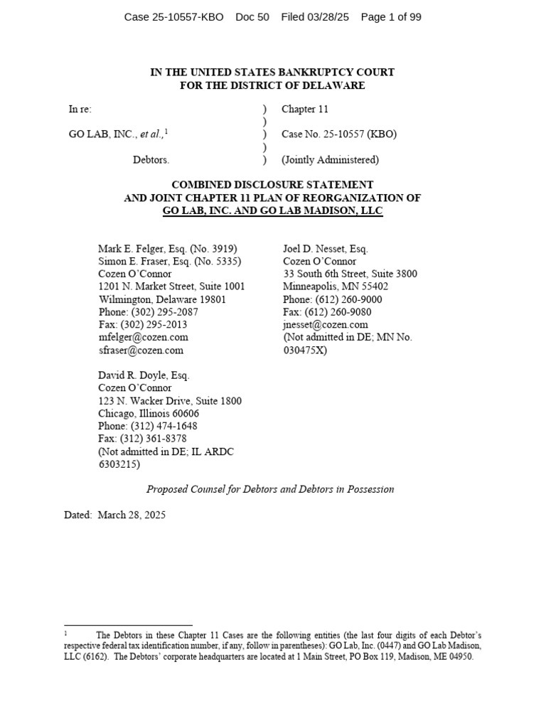 Go Lab Inc. Chapter 11 Plan Overview | PDF | Chapter 11 | Bankruptcy