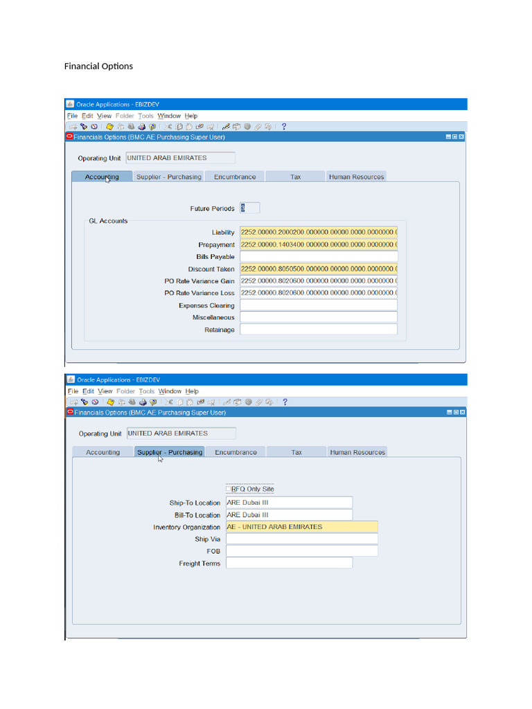 US52023 - Financial Options | PDF
