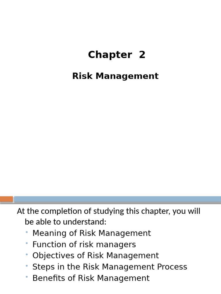 Understanding Risk Management Basics | PDF | Risk Management | Risk