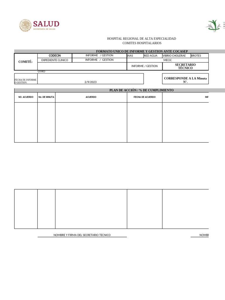 Informe de Gestión del Comité CODECIN | PDF
