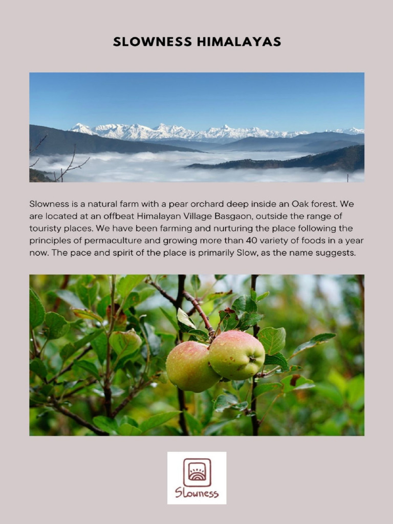 Slowness Himalayas | PDF